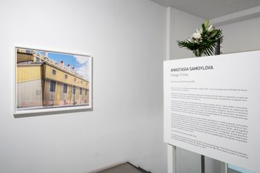 Exhibition view: Anastasia Samoylova, Image Cities, Sabrina Amrani, Madrid (7 June–22 July 2023). Courtesy Sabrina Amrani.