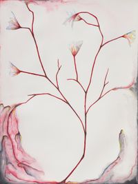 Aegopodium Podagraria by Grace Schwindt contemporary artwork painting, works on paper, drawing