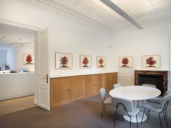 Exhibition view: David Nash, Trees, Galerie Lelong & Co., 13 Rue de Téhéran, Paris (5 September–5 October 2019). Courtesy Galerie Lelong & Co., Paris. 
