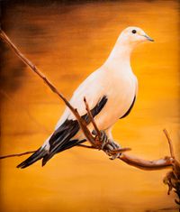 Island Dove by Christopher Bassi contemporary artwork painting