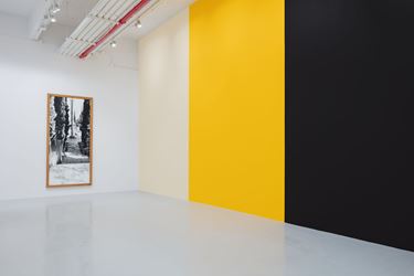 Exhibition view: Günther Förg, Works from 1986 – 2007, Hauser & Wirth, 22nd Street, New York (24 January–6 April 2019). © Estate Günther Förg, Suisse / VG Bild-Kunst, Bonn 2019. Courtesy Estate Günther Förg, Suisse. Photo: Timothy Doyon.