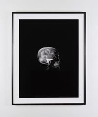 Untitled (Skull) by Dorothy Cross contemporary artwork photography
