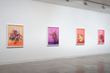 Exhibition view: Ann Shelton, an invitation to dance, Two Rooms, Auckland (4 February–5 March 2022). Courtesy Two Rooms.