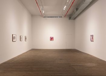 Exhibition view: Bracha L. Ettinger, Andrew Kreps Gallery, 55 Walker Street, New York (17 May–17 June 2024). Courtesy Andrew Kreps Gallery.