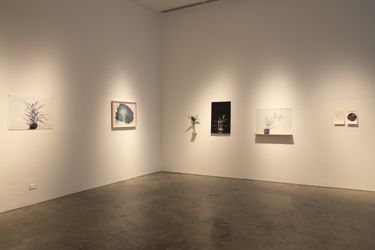Exhibition view: Issay Rodriguez, Brighter Than Many Ever See, SILVERLENS, Manilla (4 September–2 October 2021). Courtesy SILVERLENS. 