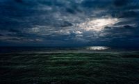 Beach Marsh at Night (from the series 'Real Landscapes') by Thomas Wrede contemporary artwork photography