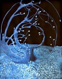 Silencio by Christina Lissmann contemporary artwork painting, works on paper