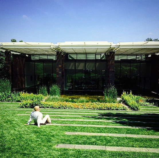 The Renzo Piano designed Fondation Beyeler museum. Image