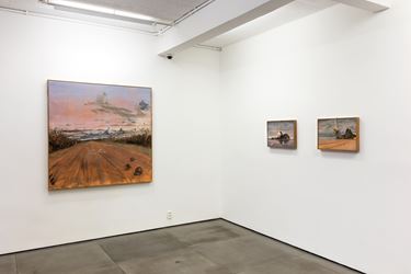 Exhibition view: Alberto Baraya, Estudios Comparados de Paisaje, Galeria Nara Roesler, Rio de Janeiro (23 November 2018–9 February 2019). Courtesy Galeria Nara Roesler.