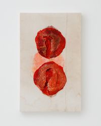 a pomegranate by Junko Oki contemporary artwork painting, textile