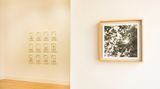 Contemporary art exhibition, Tilyen Mucic, Zadok Ben-David, Shrubs, Flowers and Decay at Galerie Albrecht, Berlin, Germany