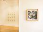 Contemporary art exhibition, Tilyen Mucic, Zadok Ben-David, Shrubs, Flowers and Decay at Galerie Albrecht, Berlin, Germany