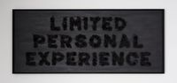 Limited Personal Experience by Dan Moynihan contemporary artwork mixed media