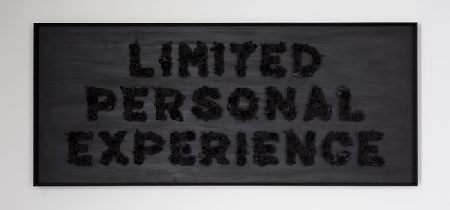 Limited Personal Experience by Dan Moynihan contemporary artwork