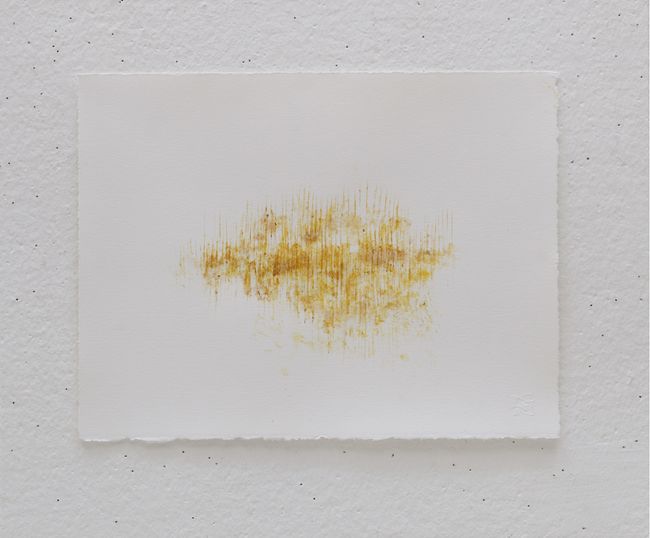 Cutting Board Print - Yellow Ginger #2 by Haegue Yang contemporary artwork
