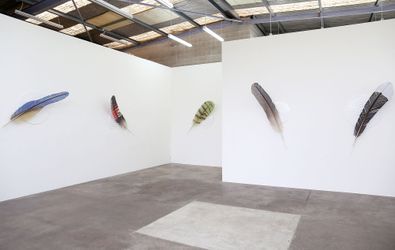 Exhibition view: Neil Dawson, equipoise, Jonathan Smart Gallery, Christchurch (6 August–3 September 2022). Courtesy Jonathan Smart Gallery.