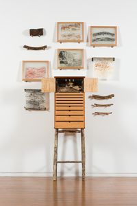 Beetlearium by John Wolseley contemporary artwork sculpture