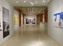 Contemporary art exhibition, Denise Green, Paintings, Drawings, Photographs at Sundaram Tagore Gallery, New York, New York, United States
