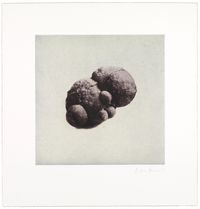 12 Objects, 12 Etchings (07) by Rachel Whiteread contemporary artwork print