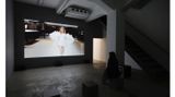 Contemporary art exhibition, Pierre Huyghe, Pierre Huyghe at Taro Nasu, Tokyo, Japan