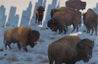 Bison, Untitled by Zhang Hongtu contemporary artwork painting