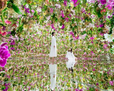 teamLab Planets TOKYO Is a Phenomenon. But What Is It?