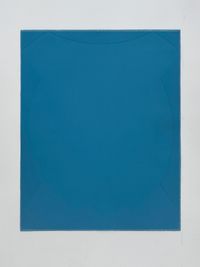 A Perimeter of Little Fat Flesh - Blue by Inga Svala Thórsdóttir & Wu Shanzhuan contemporary artwork works on paper