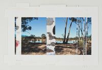Bendigo Trees by Denise Green contemporary artwork mixed media