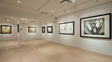 Contemporary art exhibition, Group Show, Pioneers of Modern Chinese Painting in Paris at DE SARTHE, DE SARTHE, Hong Kong