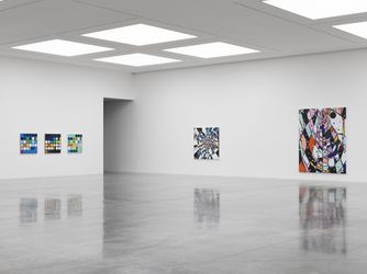 Exhibition view: Sarah Morris, Means of Escape, White Cube, Bermondsey (19 November 2021—9 January 2022). Courtesy White Cube.