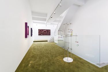 Exhibition view: Anicka Yi, Begin Where You Are, Gladstone Gallery, Seoul (31 May–8 July 2022). Courtesy Gladstone Gallery. Photo: Chunho An.
