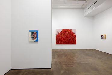 Contemporary art exhibition, John Guzman, Drowning in Harmony at Sean Kelly, New York, United States