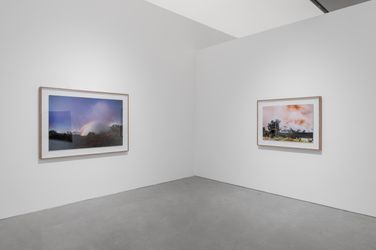 Exhibition view: Robert Zhao Renhui, Monuments in the Forest, ShanghART, M50, Shanghai (11 March–30 April 2023). Courtesy ShanghART.