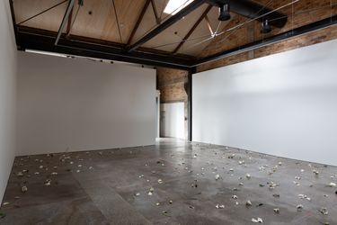 Exhibition view: Cindy Huang, Tracing a Gilded Trail, Sumer Gallery, Auckland (9 August–9 September 2023). Courtesy Sumer.
