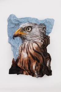 British Birds of Prey: Red Kite by Marcus Coates contemporary artwork works on paper