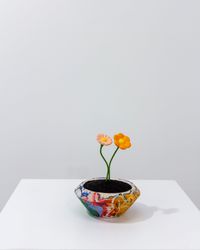 street flower pot #12 by Takuro Tamura contemporary artwork mixed media