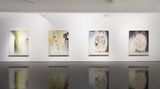 Contemporary art exhibition, Benjamin Armstrong, Pictures for Thinking at Tolarno Galleries, Melbourne, Australia
