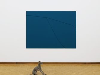 Exhibition view: Florian Pumhösl, Two Warped Reliefs, MEYER KAINER, Vienna (20 April–24 July 2021). Courtesy MEYER KAINER.