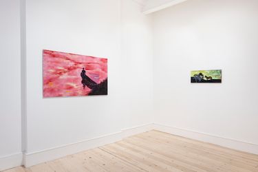 Exhibition view: Julia Adelgren​, Dragonfly Den, MAMOTH, London (8 June–23 July 2022). Courtesy MAMOTH.