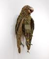 Pezoporus occidentalis / night parrot by Fiona Hall contemporary artwork 1