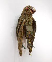 Pezoporus occidentalis / night parrot by Fiona Hall contemporary artwork sculpture
