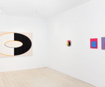 Contemporary art exhibition, Helen Smith, A Curved Space at Gallery 9, Sydney, Australia