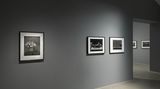 Contemporary art exhibition, Don McCullin, The Stillness of Life at Hauser & Wirth, Somerset, United Kingdom