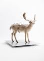 PixCell-Fallow Deer#2 by Kohei Nawa contemporary artwork 2