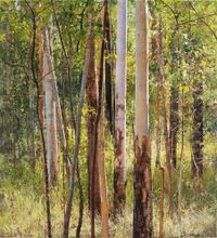 Rose Gum and Black Wattle by A.J. Taylor contemporary artwork painting