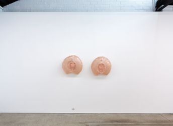 Alicia FrankovichSpaces of Life, 2024 (installation view) Courtesy of the artist and 1301SW, Melbourne 