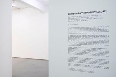 Exhibition view: Group exhibition, Bum bum ba ye [Under Pressure], Sabrina Amrani, Sallaberry, 52, Madrid (17 April–29 May 2021). Courtesy Sabrina Amrani, Madrid. 