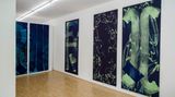 Contemporary art exhibition, Claudia Hirtl, Bilder at Boutwell Schabrowsky, Munich, Germany