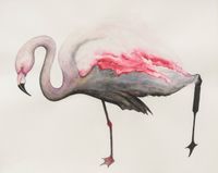 Flamingo by Grace Schwindt contemporary artwork works on paper