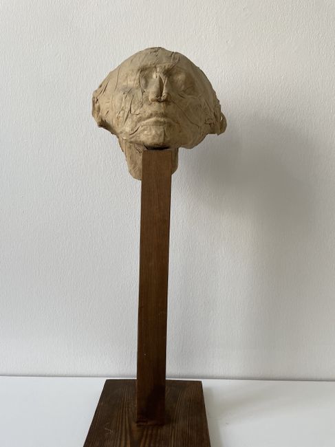 Anonymous Portrait Head by Magdalena Abakanowicz contemporary artwork